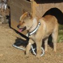 한반동농장 이미지