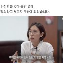 정의당은 이제부터 민주정의당이다. 이미지