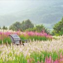 아셈관광호텔 이미지