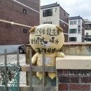 닥터크리링 이미지