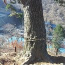 고향지리산어탕국수