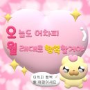 오늘도 어차피 월래대로 행복할거야
