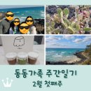 동동가족 주간일기 2월 첫째주 / 3박4일 제주도 서쪽 가족여행