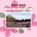 (주)엘에스씨푸드 노원구청 | 서울 봄나들이 2026 불암산 철쭉제 시작! 준비물 꿀팁