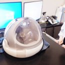 바오그루밍 이미지