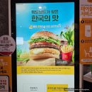 한국맥도날드(유) 성남신흥DT점 | 맥도날드 신메뉴 충주 찰옥수수 치즈 크로켓 버거 솔직 후기