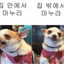 공감 - 양평군 | 공감