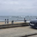 신닭장 | 강릉 주문진 민박 소돌해변