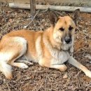 쌍계 경로당 이미지