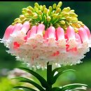 9월30일 🍃 뉴스브리핑 🍃 이미지