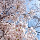 쌍림초등학교 이미지