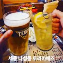 J-044 | 세종 나성동이자카야 토리아에즈, 명란구이와 네기마, 토리하이 한잔
