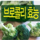 향원슈퍼 - 하동군 쌍계로 14 | 향원슈퍼
