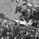 데생&수채화 이미지