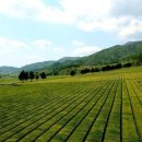 보성푸드 - 울주군 | 보성푸드