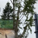 갈천초등학교 이미지