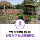 능내근린공원 축구장 | 축구장, 운동시설, 지압길, 맨발 산책로 모두 있는 인천 서구 능내근린공원