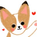 터틀파스타 이미지