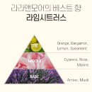 베스트앤모어