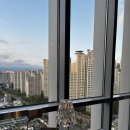 MG뉴턴수성 | [제노아] 대구 도심 속 뷰 맛집 양식 레스토랑