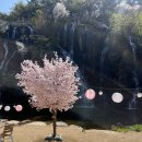 안산자락길 숲속카페 이미지