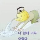 내일은 너무 멀어