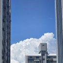 이브자리 | 💍 [남대문시장 혼수 침구] 예비부부라면 꼭 들러야 할 이브자리 남대문점 후기✨