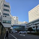 송도 해수욕장 암남공원 이미지