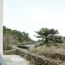 달숲 이미지
