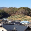 양촌마을 이미지