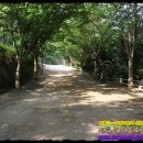 장곡자연휴양림 이미지