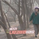 나무고아원 이미지