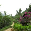 하르딘(Jardin) 이미지