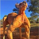 굿라이프슈퍼마켓 이미지