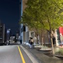 로데오거리 이미지