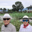 연꽃방죽체육공원 이미지