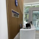 세종다온동물병원 | 세종충북대동물병원 진료후기