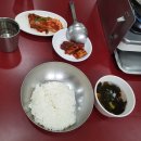 돌고래식당 이미지