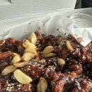 하선암 카라반 야영장 | 단양- 하선암카라반야영장