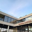 마시란로 이미지