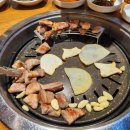 돼지의품격 이미지