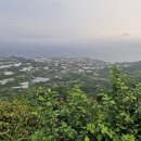 제주도 &#34; 폭싹 속았수다 &#34; 촬영지 군산 오름 &#34; 돌담여행사 &#34; 이용 후기 !!