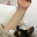 봉봉이 놀이터 이미지