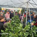 중문농업협동조합강정지점 이미지