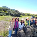 여행을 이야기하다 | 제주도 관광버스 렌트 요금 및 제주 여행 후기