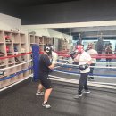 고잔복싱 이미지