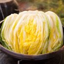 절임배추(추광품종) - 11월 7일부터 배송수령(도착)가능 - 재경이네 해남농장 - 이미지