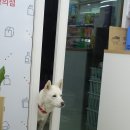 구봉이약수터 이미지