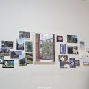 캐로티 | 파주 주문제작케이크 캐로티 브라이덜샤워케이크 내돈내산