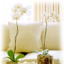 향기로운주유소 이미지